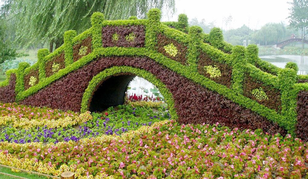 園藝栽培：夏季做好苗木的養(yǎng)護(hù)工作